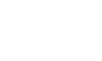 WSP logo blanco