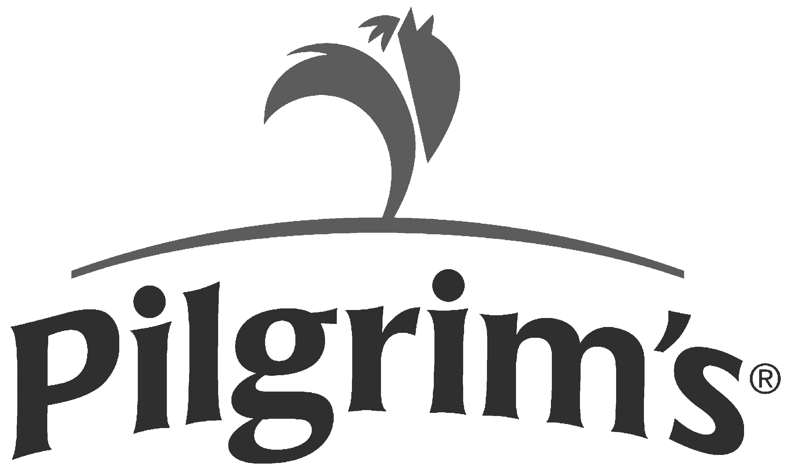 Pilgrim's USA